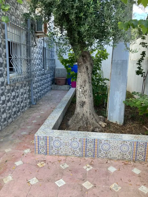Vente Villa El Tarf El kala