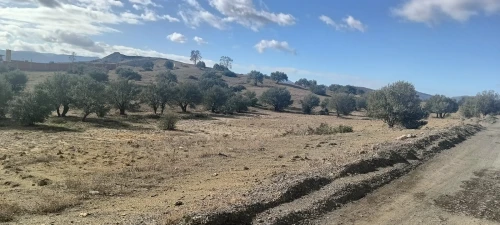 Location Terrain Bouira Ahnif