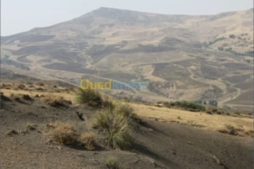 Vente Terrain Agricole Béjaïa Draa el kaid