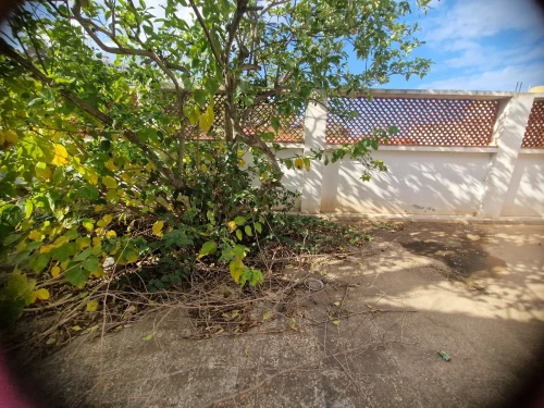 Location Villa Alger Kouba