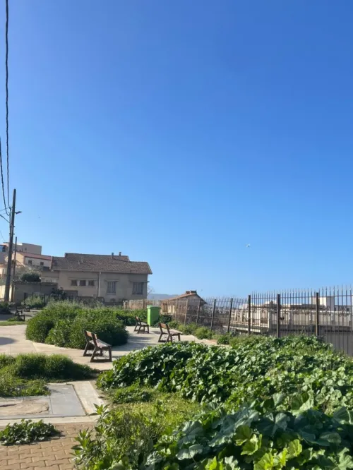 Vente Appartement F3 Alger Hussein dey