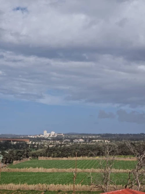 Vente Appartement F3 Alger Staoueli