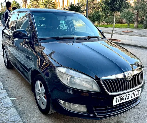 Skoda Fabia 2014 Fresh