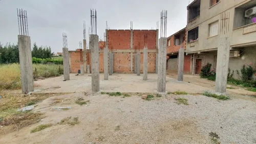 Vente Terrain Blida Bougara