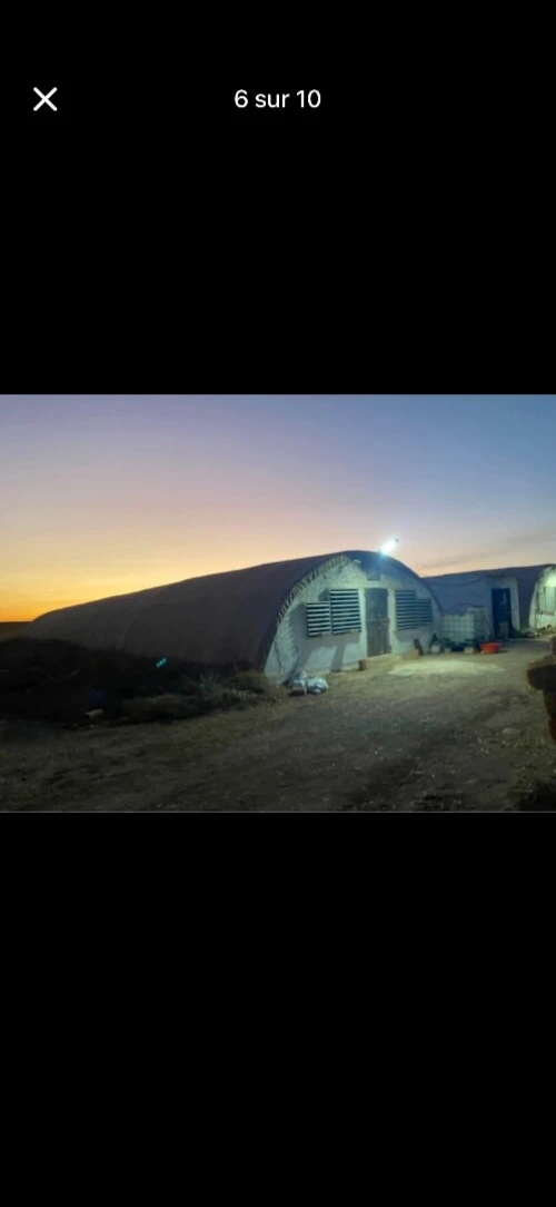 Vente Terrain Agricole Oran Boufatis