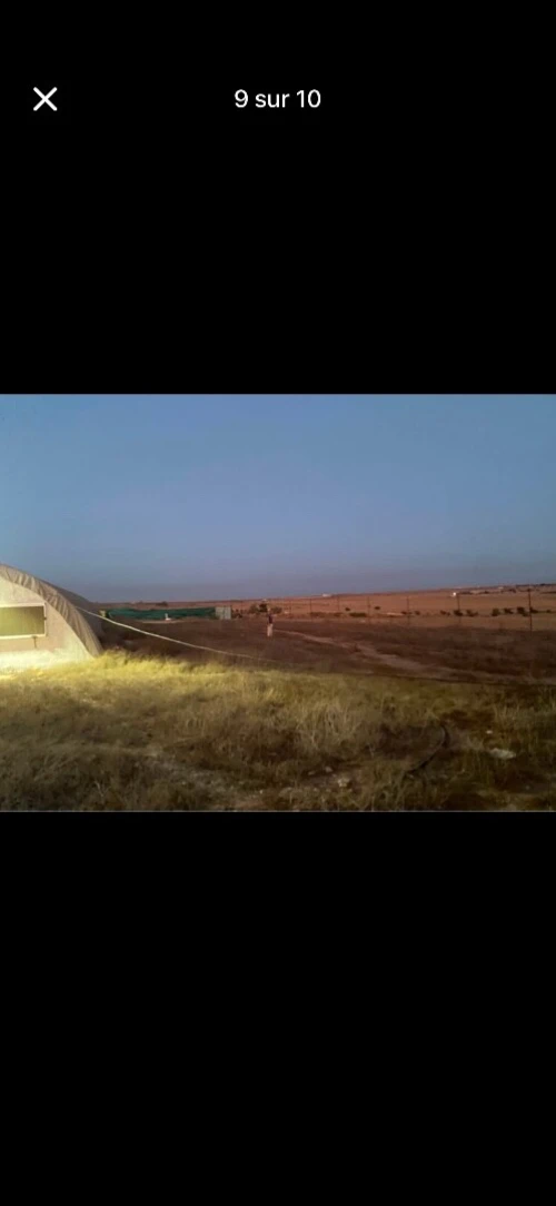 Vente Terrain Agricole Oran Boufatis 5