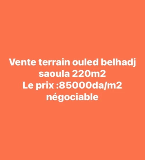 Vente Terrain Alger Saoula