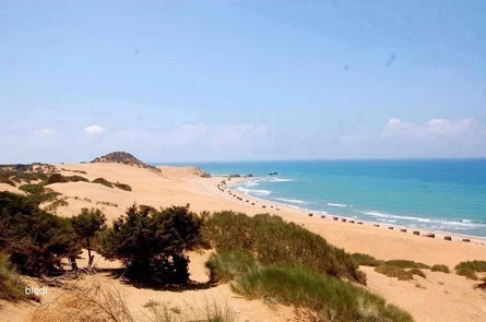 Vente Terrain Mostaganem Mostaganem