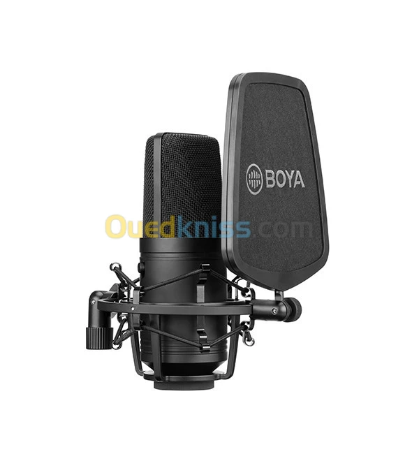 Microphone XLR 10\10