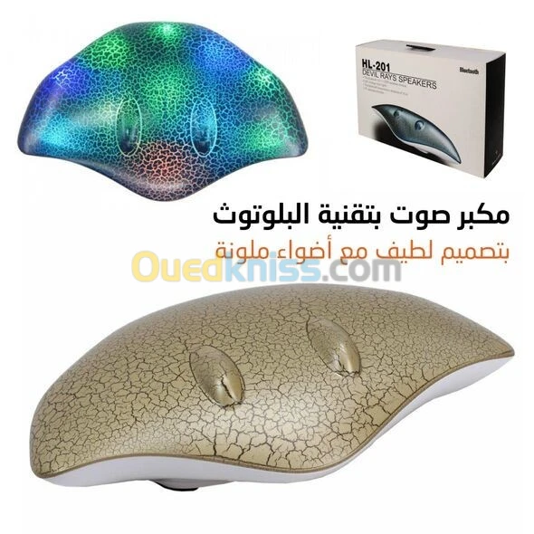مكبر صوت بلوتوث 