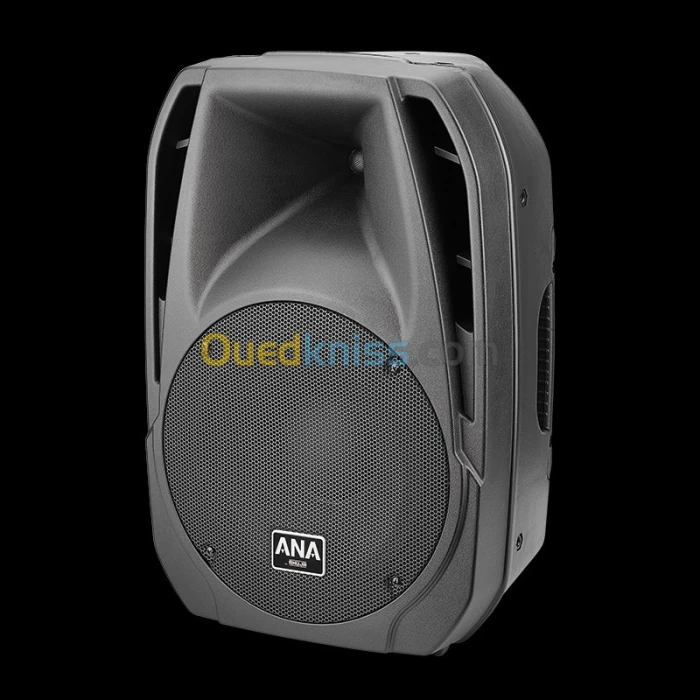 SPEAKER BOX AHUJA XPA-3010DP