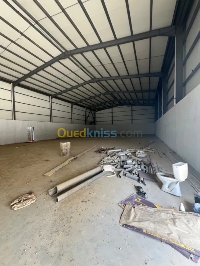 Location Hangar Alger Ouled chebel
