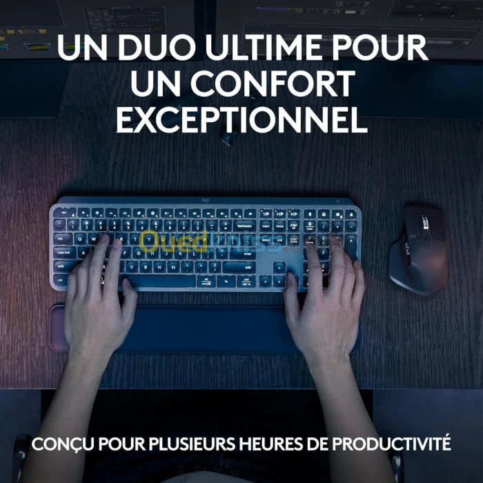 Combo Clavier LOGITECH MX Keys Plus Graphite + Souris MX Master 3 Graphite