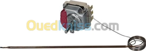 THERMOSTAT FOUR 500 DEGRE C-EGO ALLEMAGNE