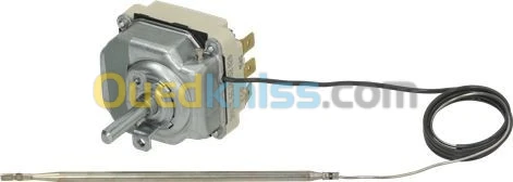 THERMOSTAT DE SECURITE EGO-ALLEMAGNE 300 D