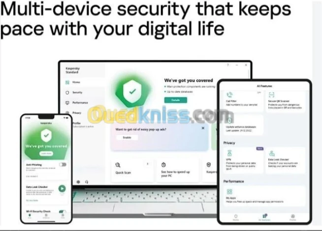 Kaspersky standard 