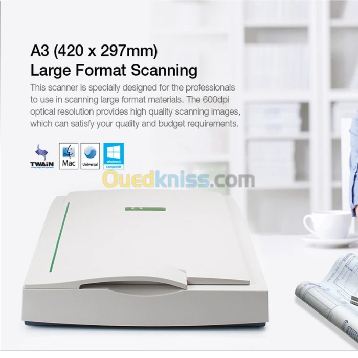 Scanner A3 Mustek
