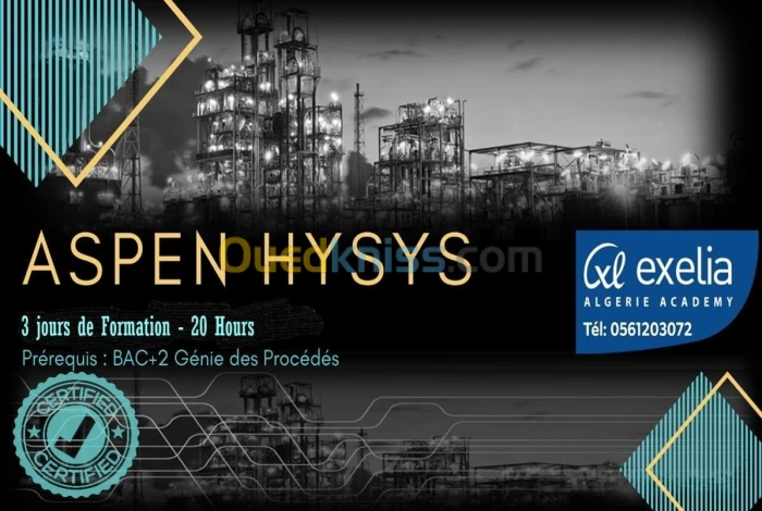 Formation Aspen HYSYS