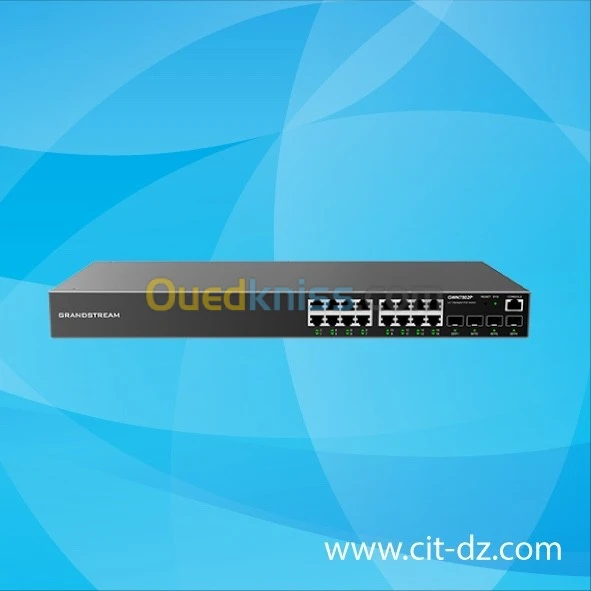 Switch 16 port