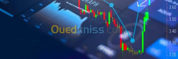 Formation  Trading  FOREX et CFD sur MT4