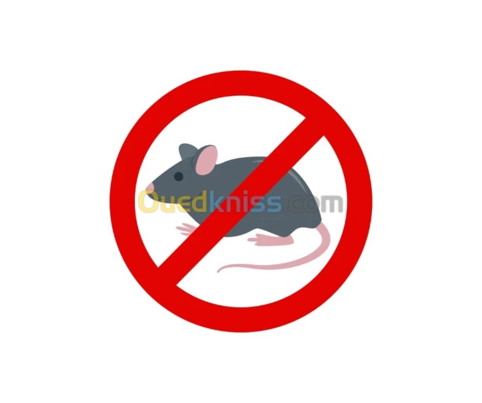 Dératisation anti souris et rats