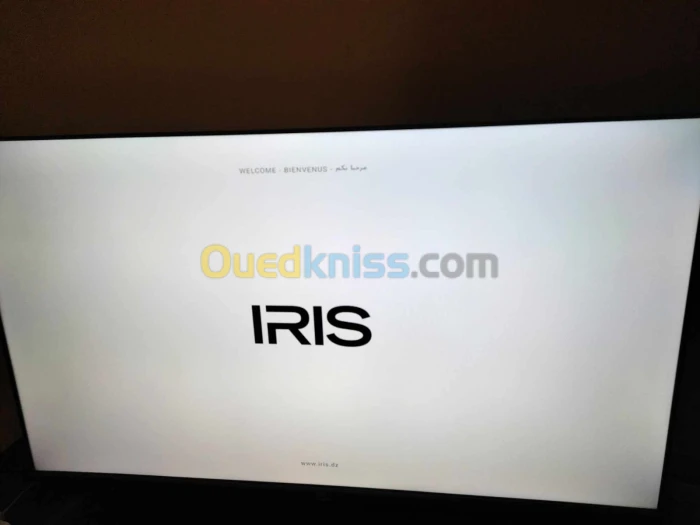 iris 40 pouce