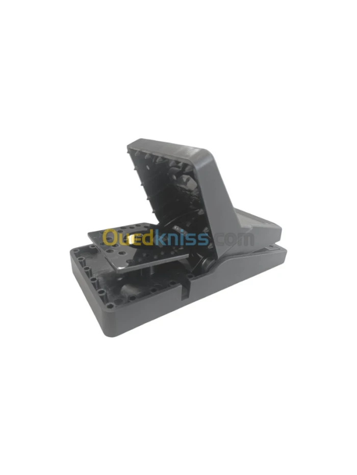 Attrape souris professionnelle