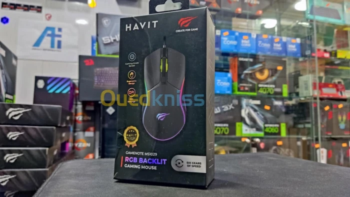 Souris HAVIT MS1029