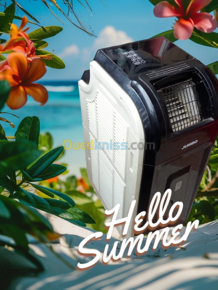 CLIMATISEUR MOBILE