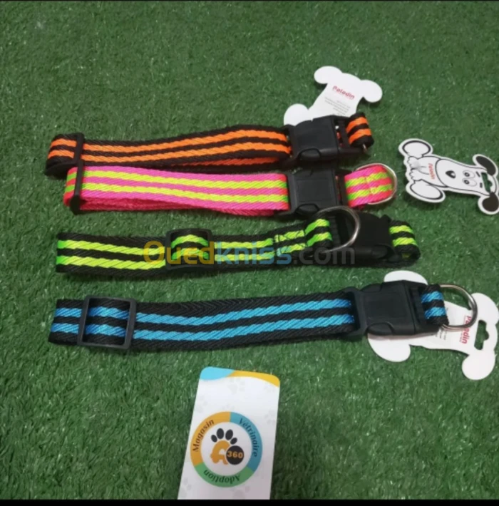 Collier pour chien طوق للكلاب قابل للتعديل
