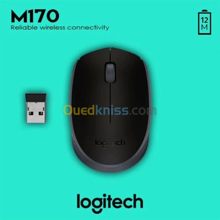 SOURIS LOGITECH M170