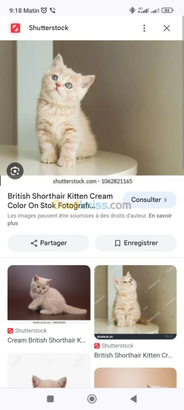 Britich