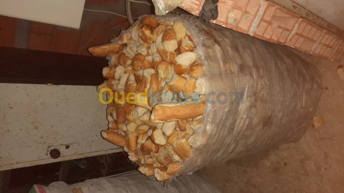خبز يابس