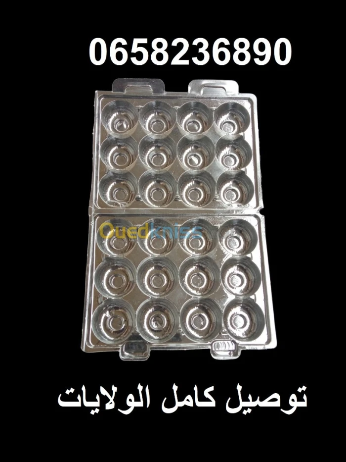 علب بيض السمان 12بيضة