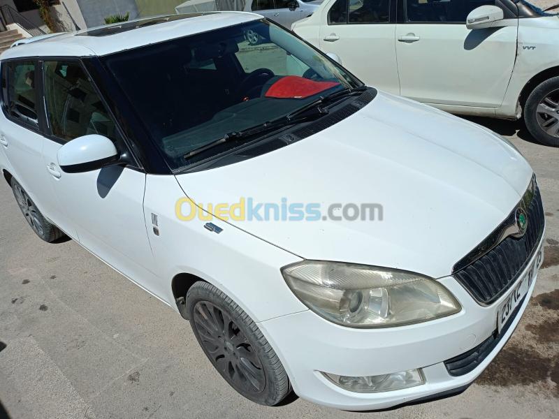 Skoda Fabia 2013 style 7