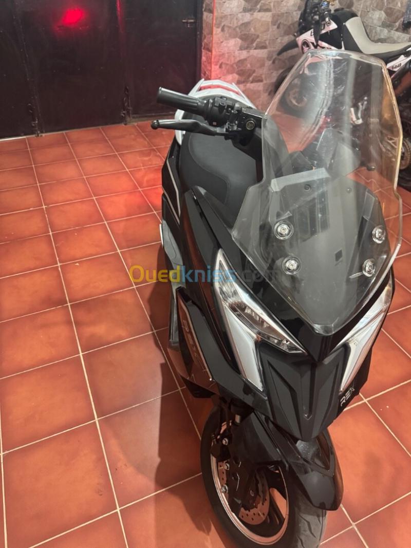 REX 2500w Rex 2500w 2026 3