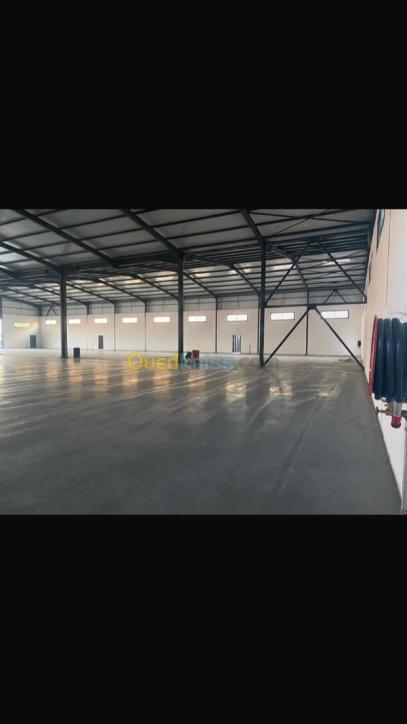 Location Hangar - Usine Boumerdès Ouled moussa 5