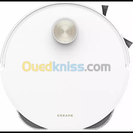 Aspirateur robot DREAME L50 Pro Ultra 15