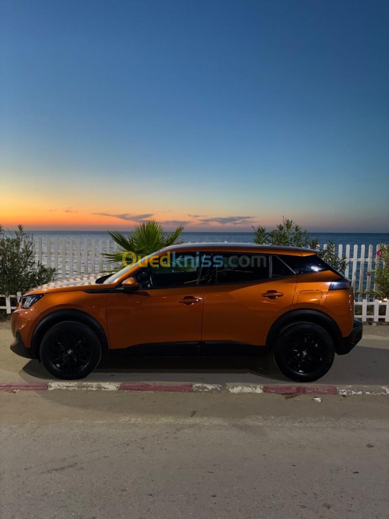 Peugeot 2008 2021  5