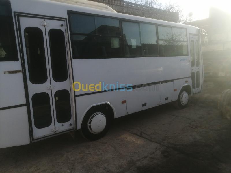  Bus Bus 2015