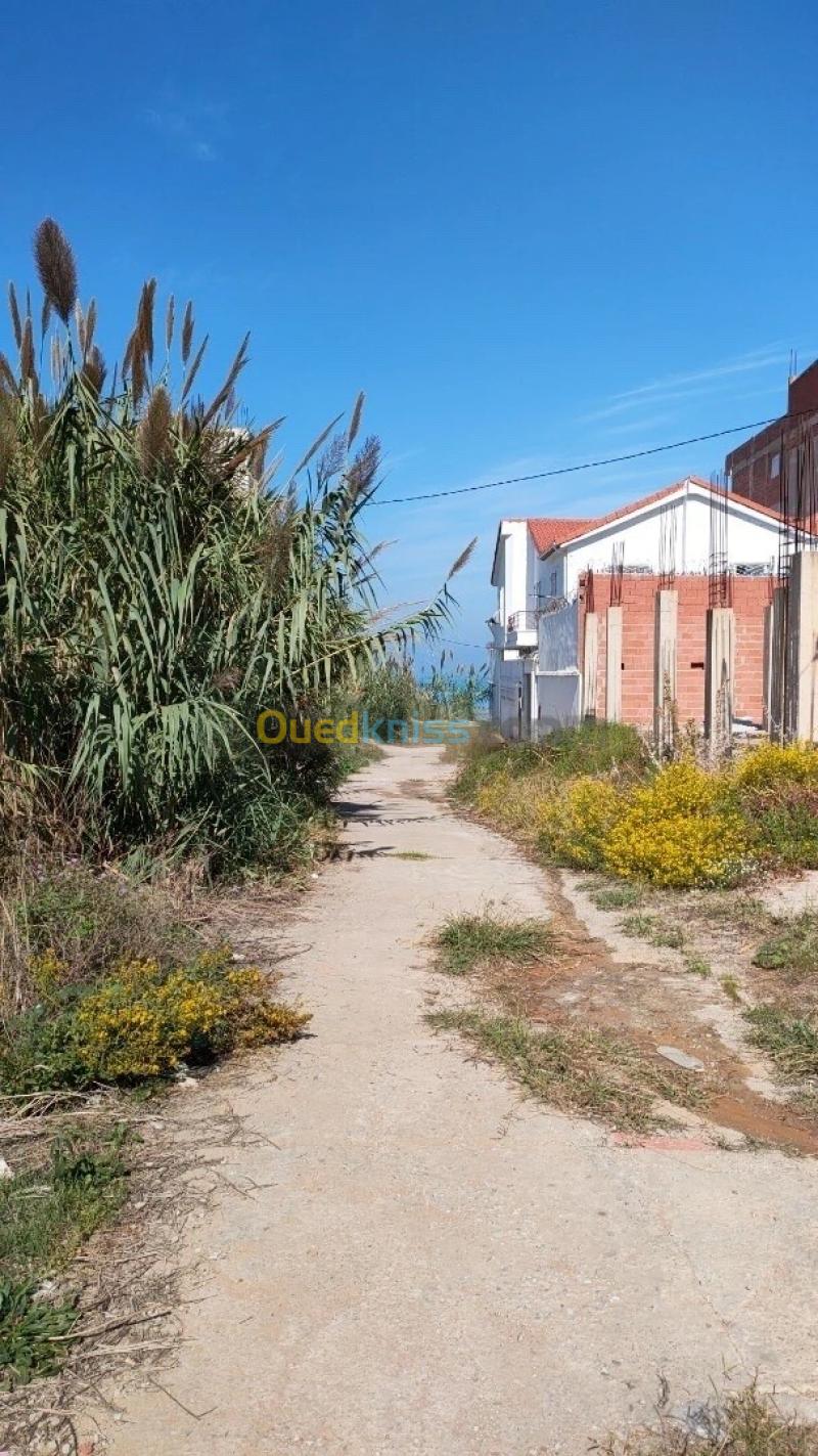 Vente Terrain Jijel Jijel 3