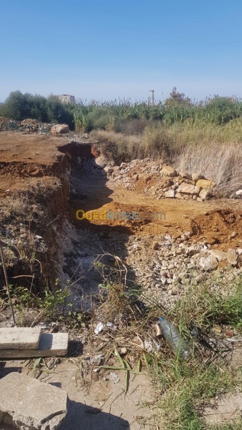 Vente Terrain Jijel Jijel 9