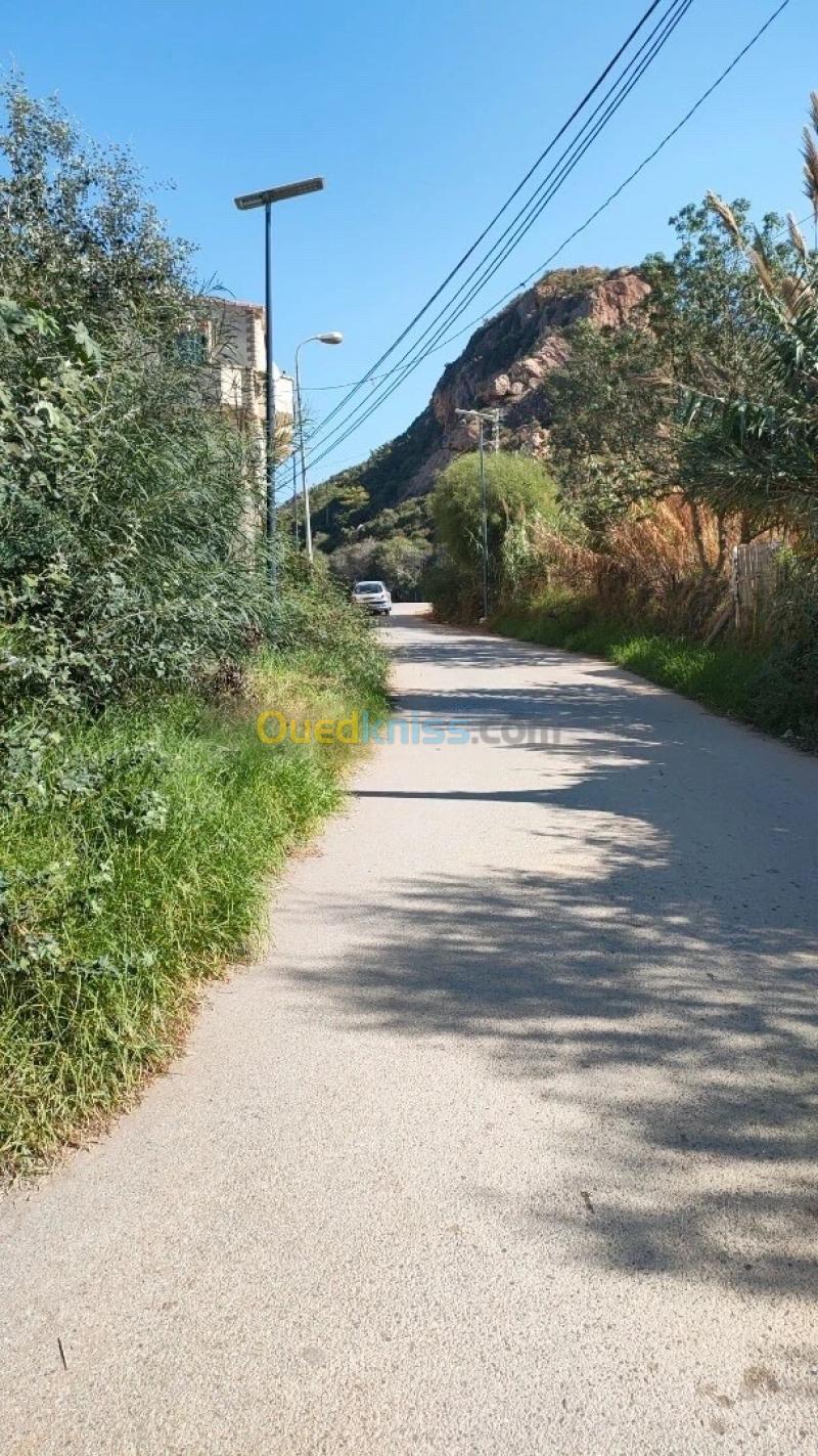 Vente Terrain Jijel Jijel 2