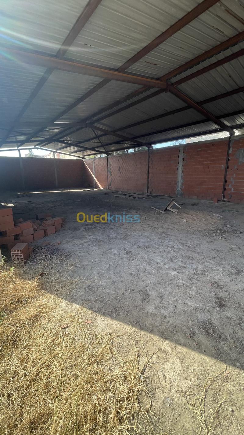 Location Hangar - Usine Alger Cheraga 3