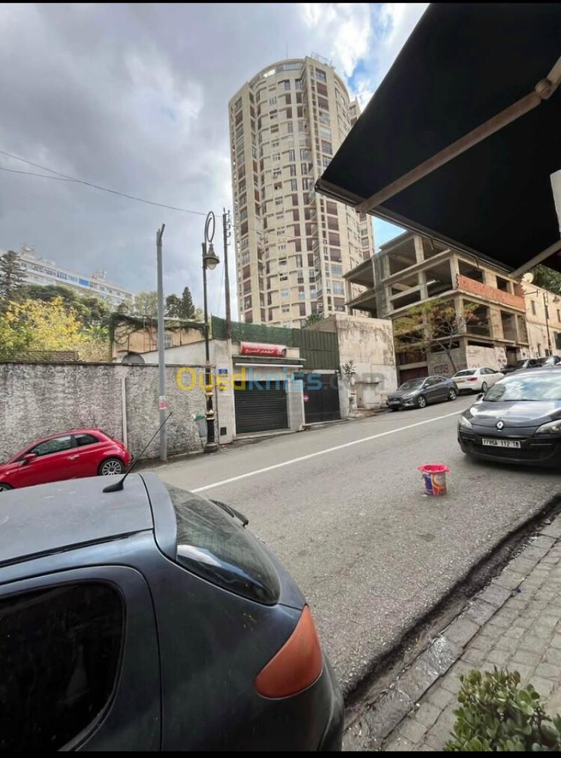 Vente Villa Alger El mouradia 9