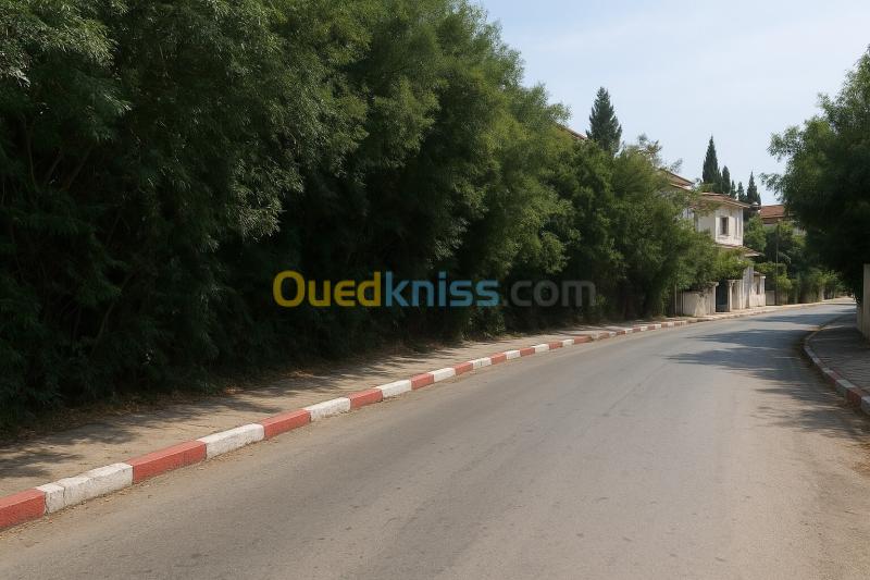 Vente Villa Alger El mouradia 4