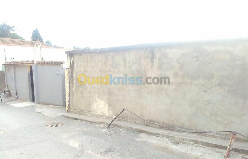 Vente Villa Alger El mouradia 3