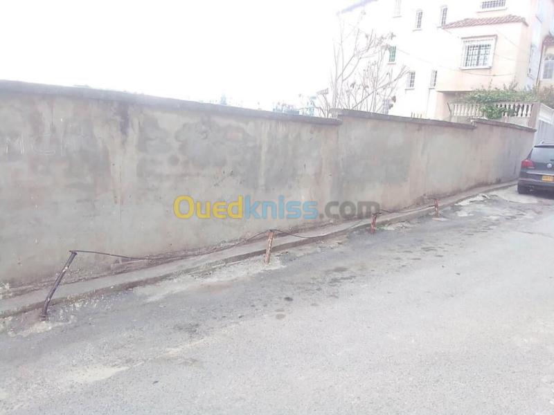 Vente Villa Alger El mouradia 3