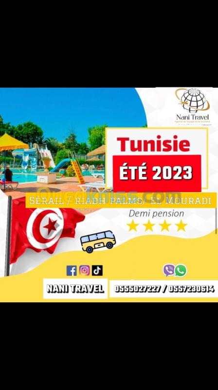 combien coute un voyage alger tunisie