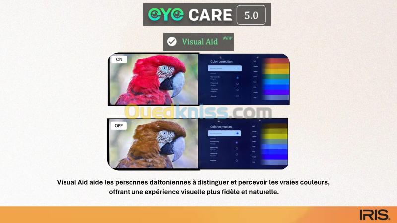 TELEVISEUR IRIS 43 Q4030 QLED ANDROID 14 GOOGLE TV 43POUCES FHD 9
